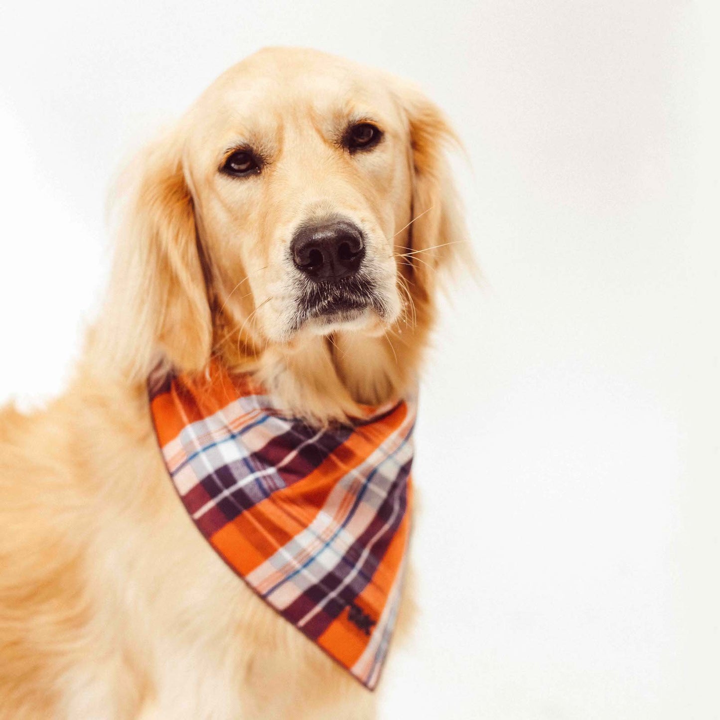 Flannel Bandana