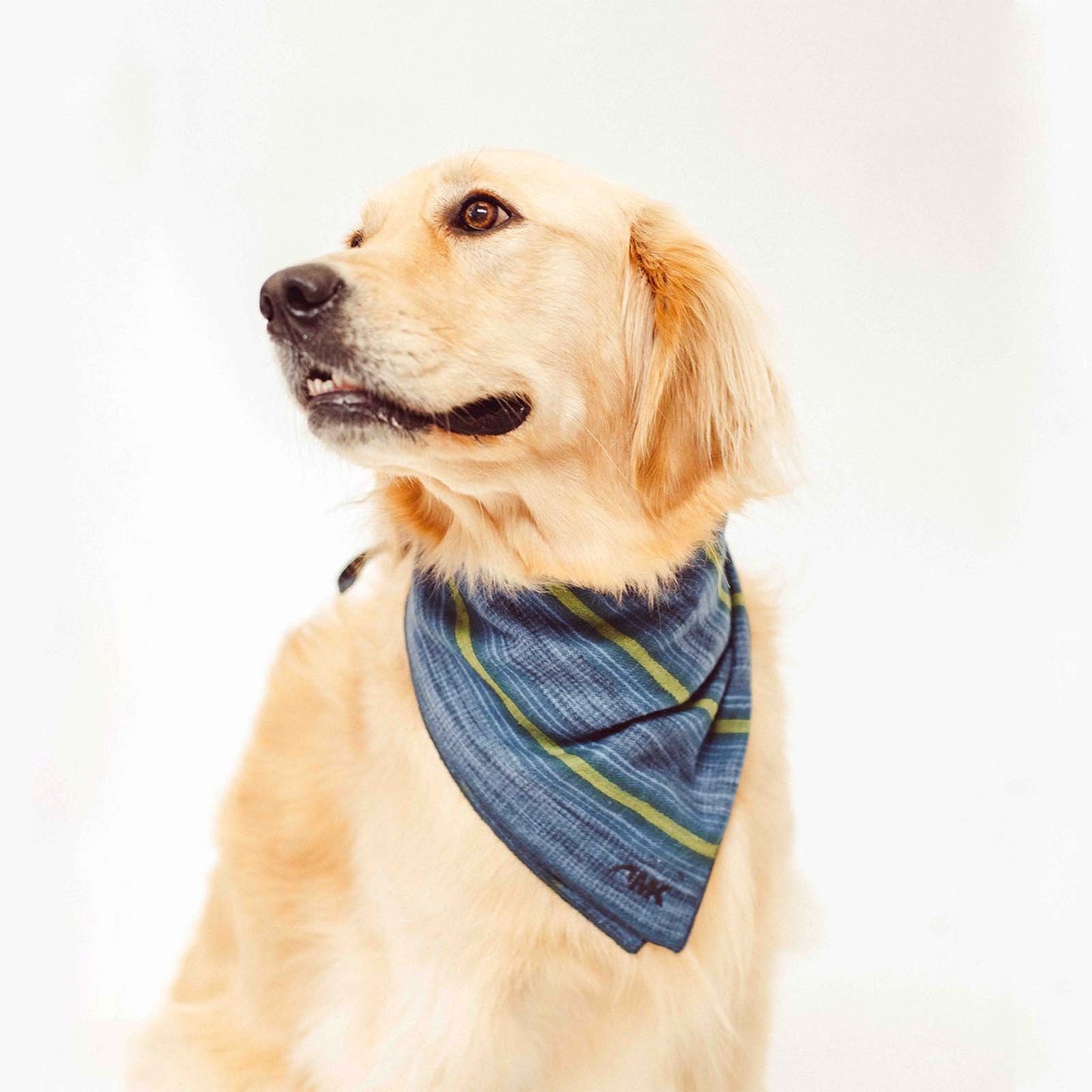 Flannel Bandana